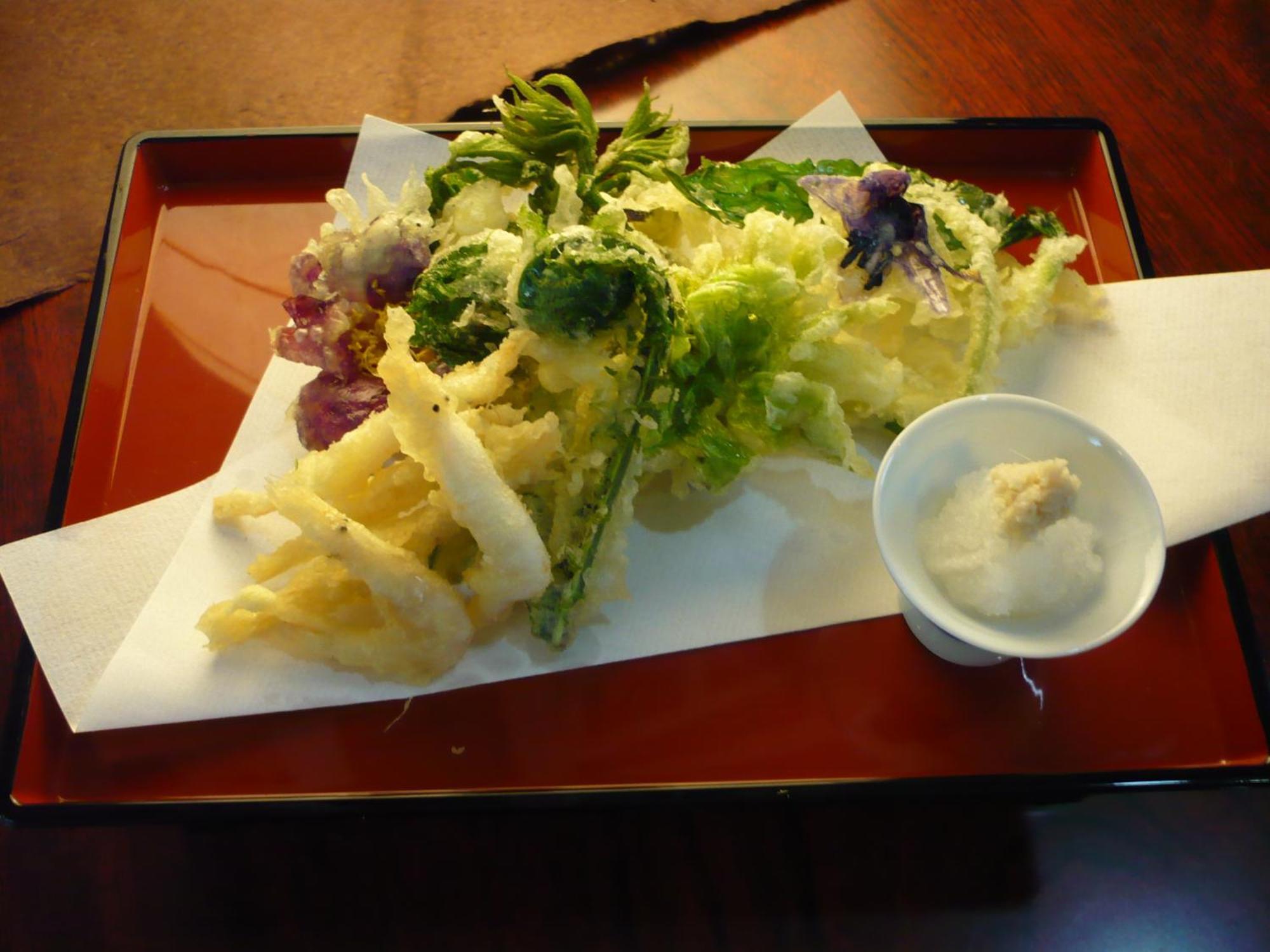 南砺 五箇山温泉赤尾馆旅馆酒店 外观 照片