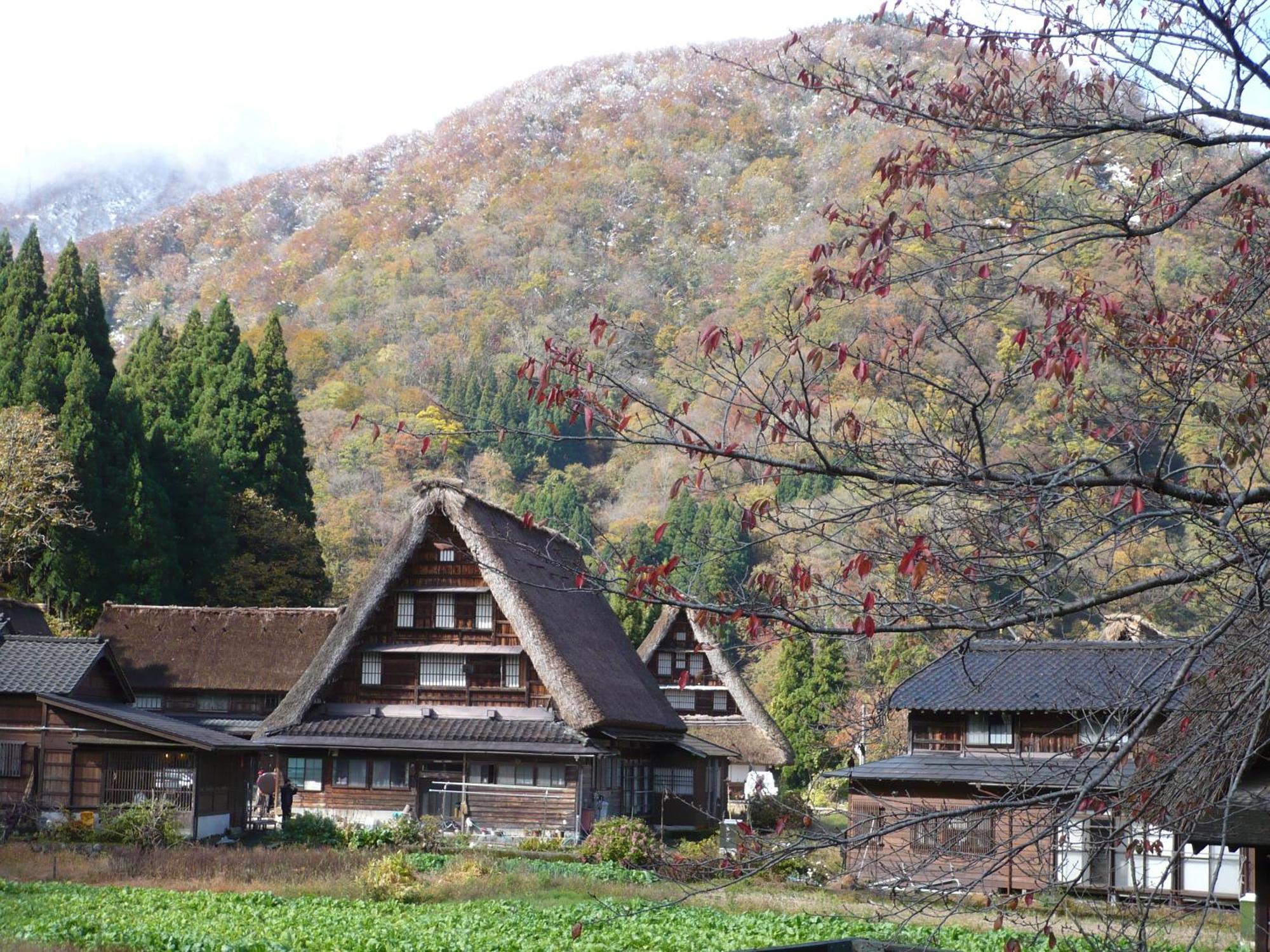 南砺 五箇山温泉赤尾馆旅馆酒店 外观 照片